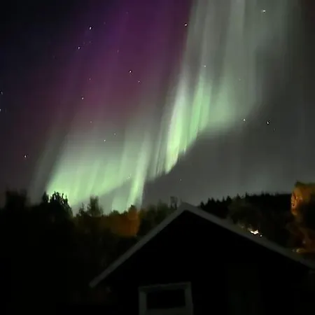 Idyllic Cabin With Sauna - Lyngen Alps Holiday home *